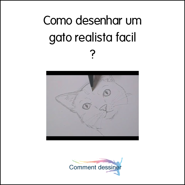 Como desenhar um gato realista facil